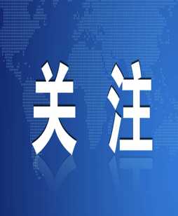 群众信访举报转办及地方查处情况一览表（第十一批2026年9月20日）