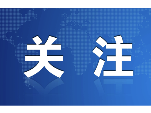 群众信访举报转办及地方查处情况一览表（第十一批2026年9月20日）