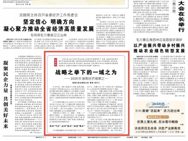 战略之举下的一域之为——2025年湖南经济观察之一