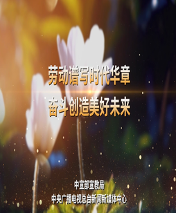 劳动者的双手