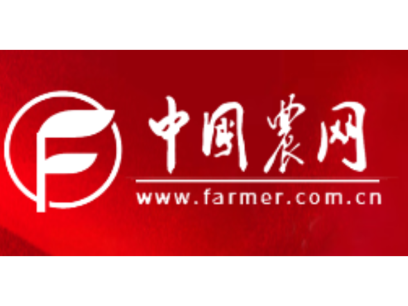 把“精准”写进衔接答卷中