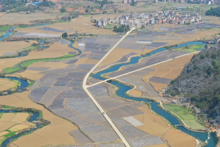 石羊镇：银膜覆阡陌 春耕绘“丰”景