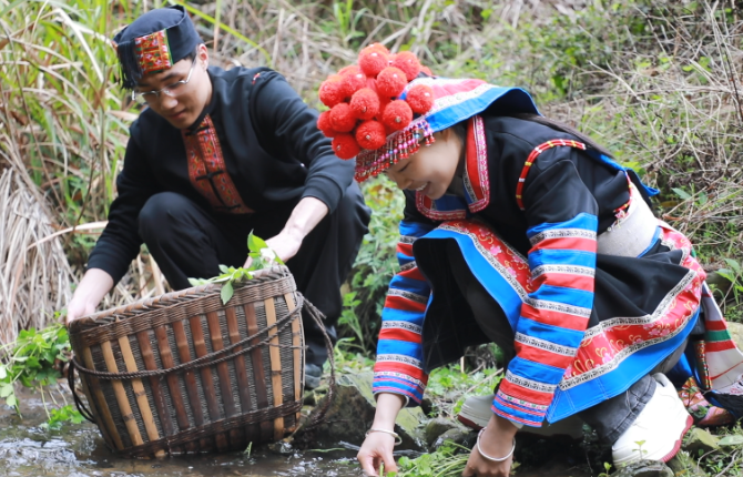 瑶乡春日寻鲜山间尽是“春滋味”
