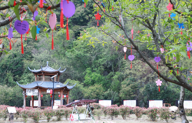 三井镇谈文溪村：人居环境“细梳妆” 百年古村“焕新颜”