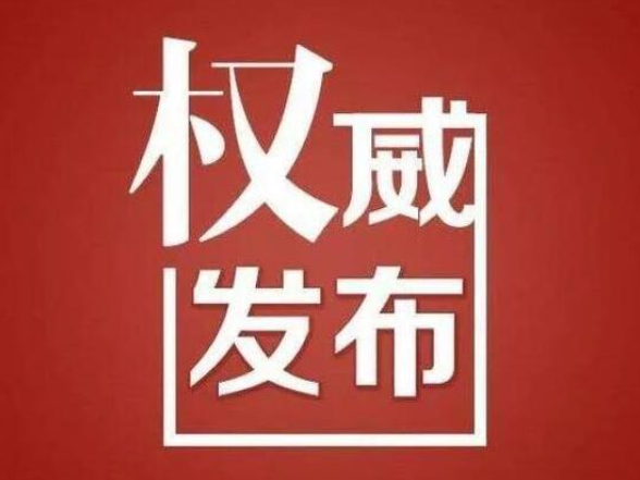 新田县人民代表大会常务委员会关于批准2025年县级预算调整方案的决议