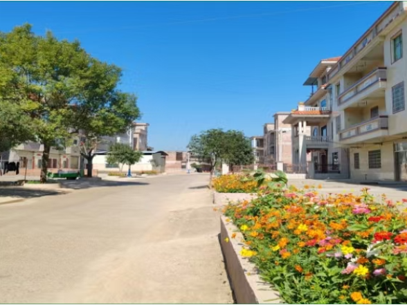 三井镇：牵红线美家园 绘就和美乡村幸福图景