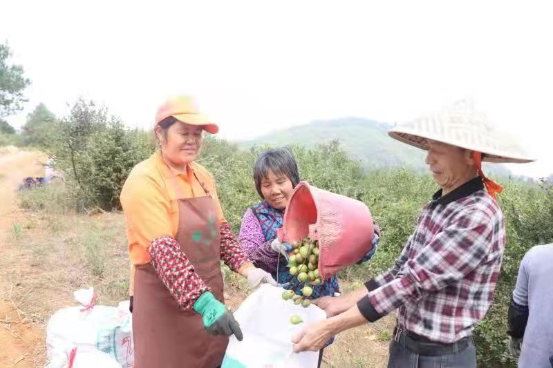 微信图片_20211101171844.jpg