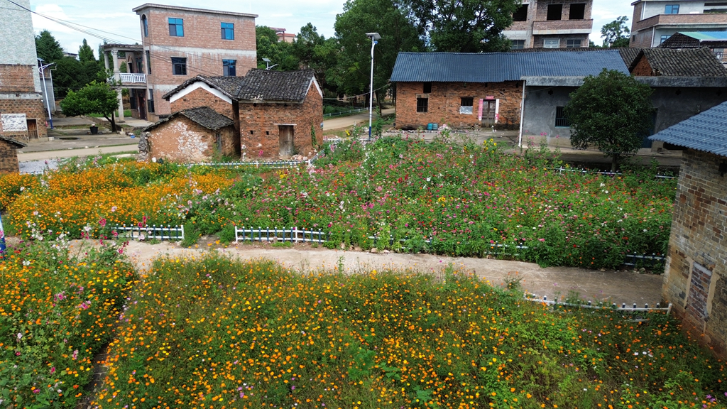 DJI_0384.JPG