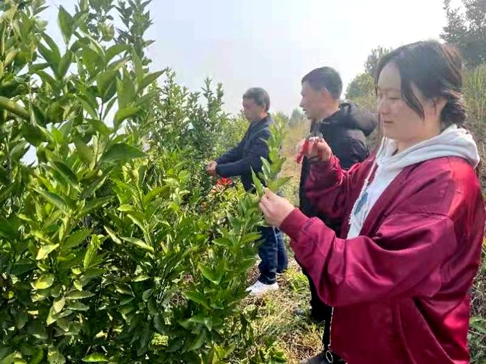 科技特派员.jpg