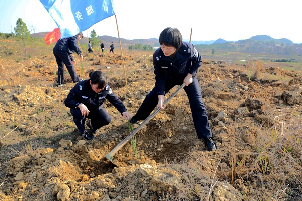 植樹(shù)現(xiàn)場(chǎng)。2.jpg 植樹(shù)現(xiàn)場(chǎng),。2.jpg