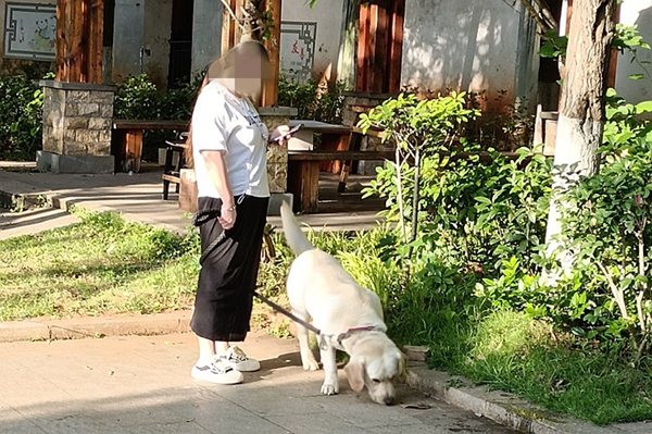 攜犬外出系好牽引繩。_副本.jpg 攜犬外出系好牽引繩。_副本.jpg