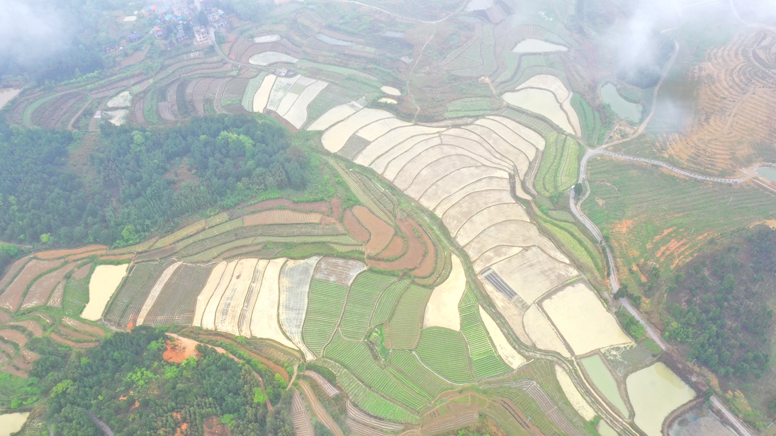 DJI_0731.JPG