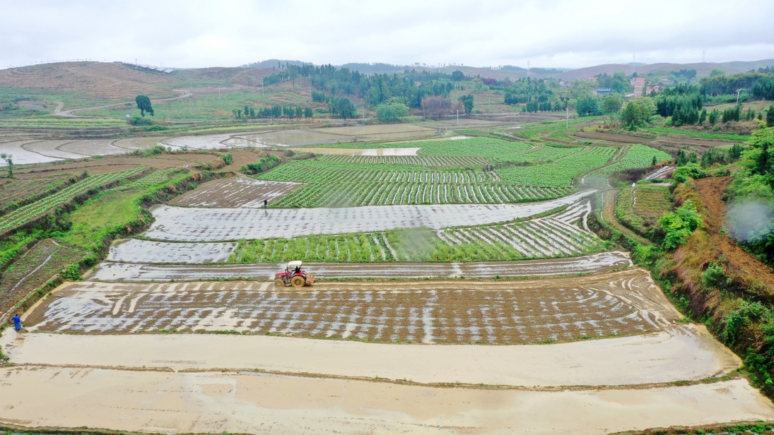 DJI_0708.JPG