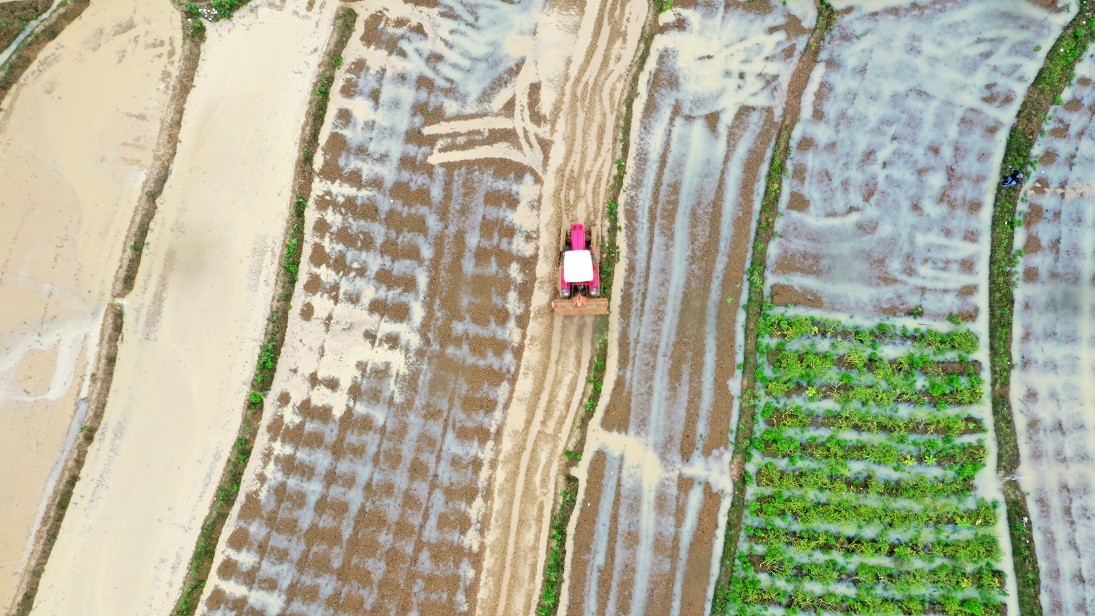 DJI_0710.JPG
