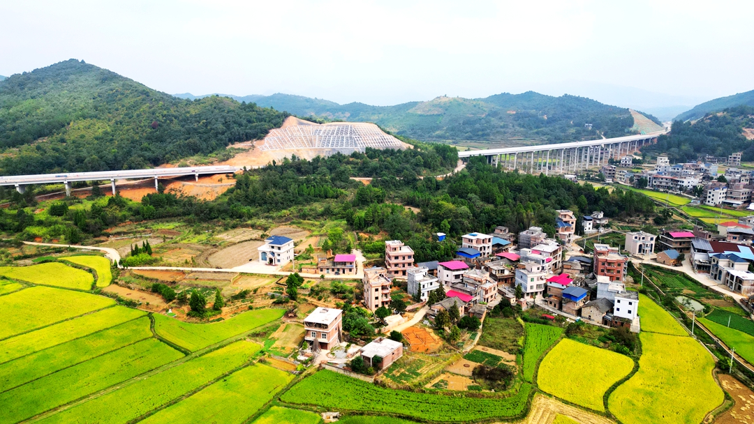 DJI_0558_副本.jpg