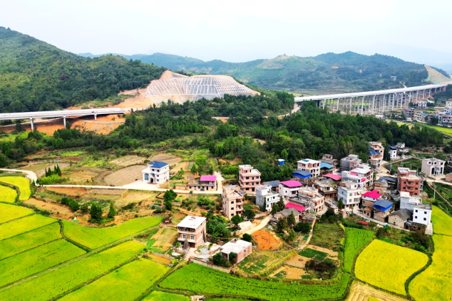 大坪塘镇：稻菽千重金浪涌 长桥飞架宏图新