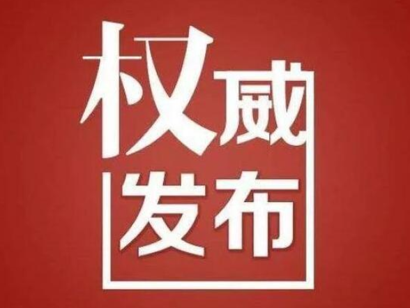 新田县提振消费政策摘要