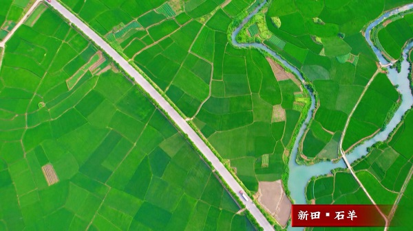 8月23日(2)处暑.mp4_20250823_100311.772.jpg