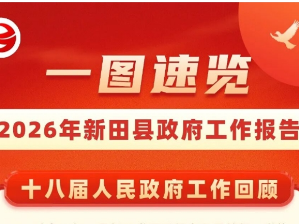 一图速览丨2026年新田县政府工作报告