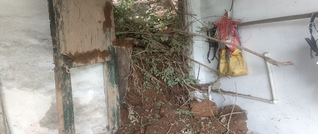 新田县自然资源局：闻“声”而动    守护安全