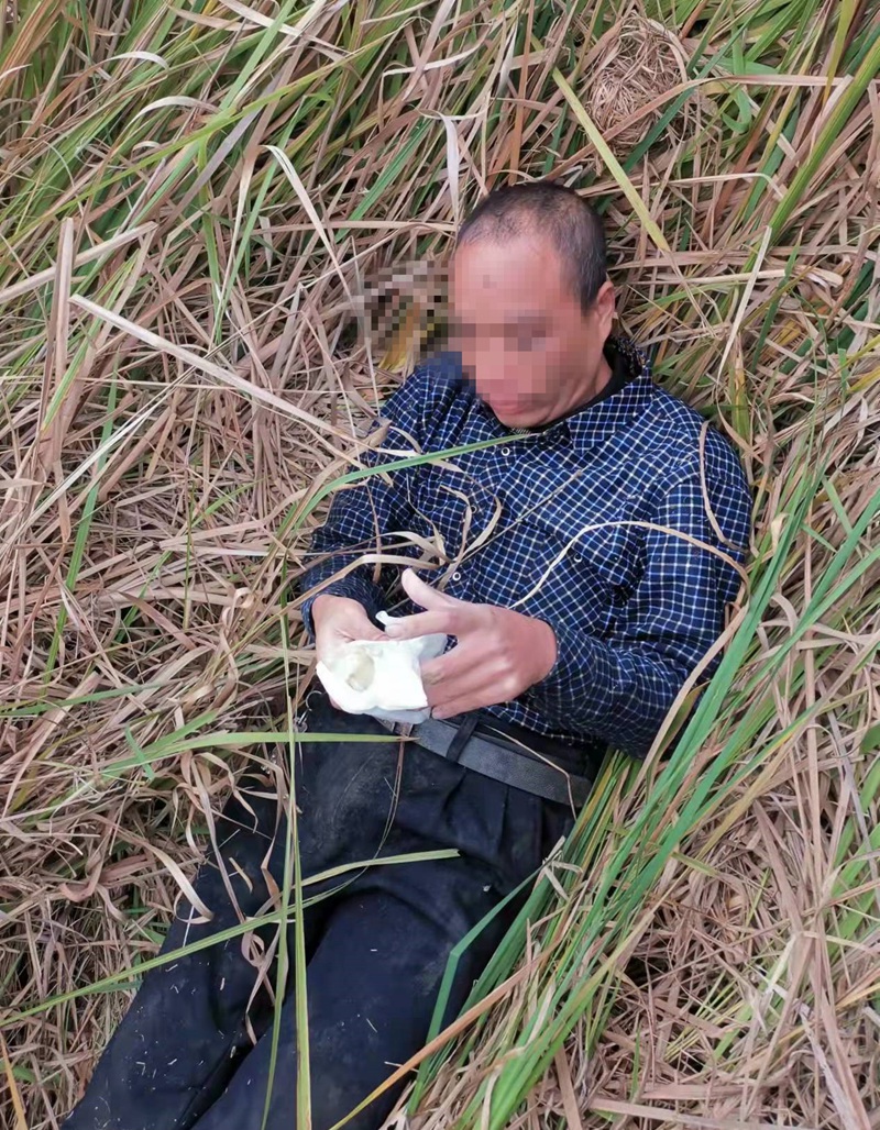 走失男子谭某在草丛中图片_副本.jpg