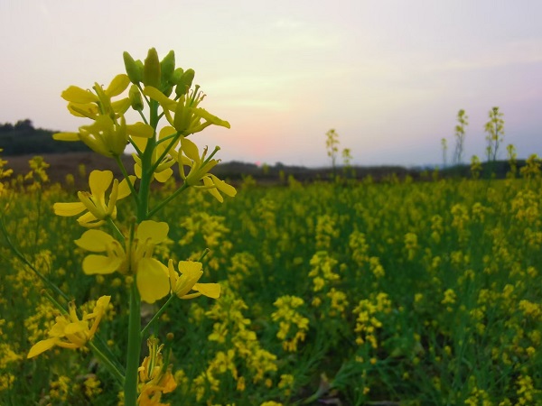 QQ图片20220316102152.jpg QQ图片20220316102152.jpg