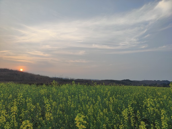 QQ图片20220316102148.jpg QQ图片20220316102148.jpg