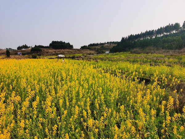 QQ图片20220316102157.jpg QQ图片20220316102157.jpg