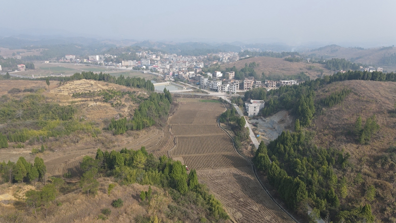 DJI_0956.JPG