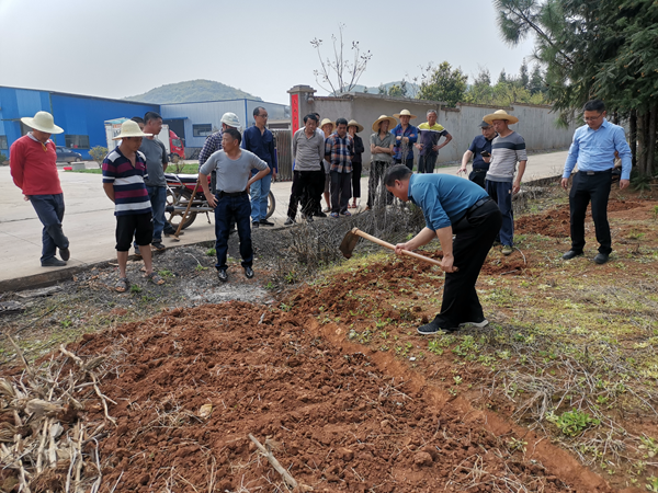 图片2.png 图片2.png