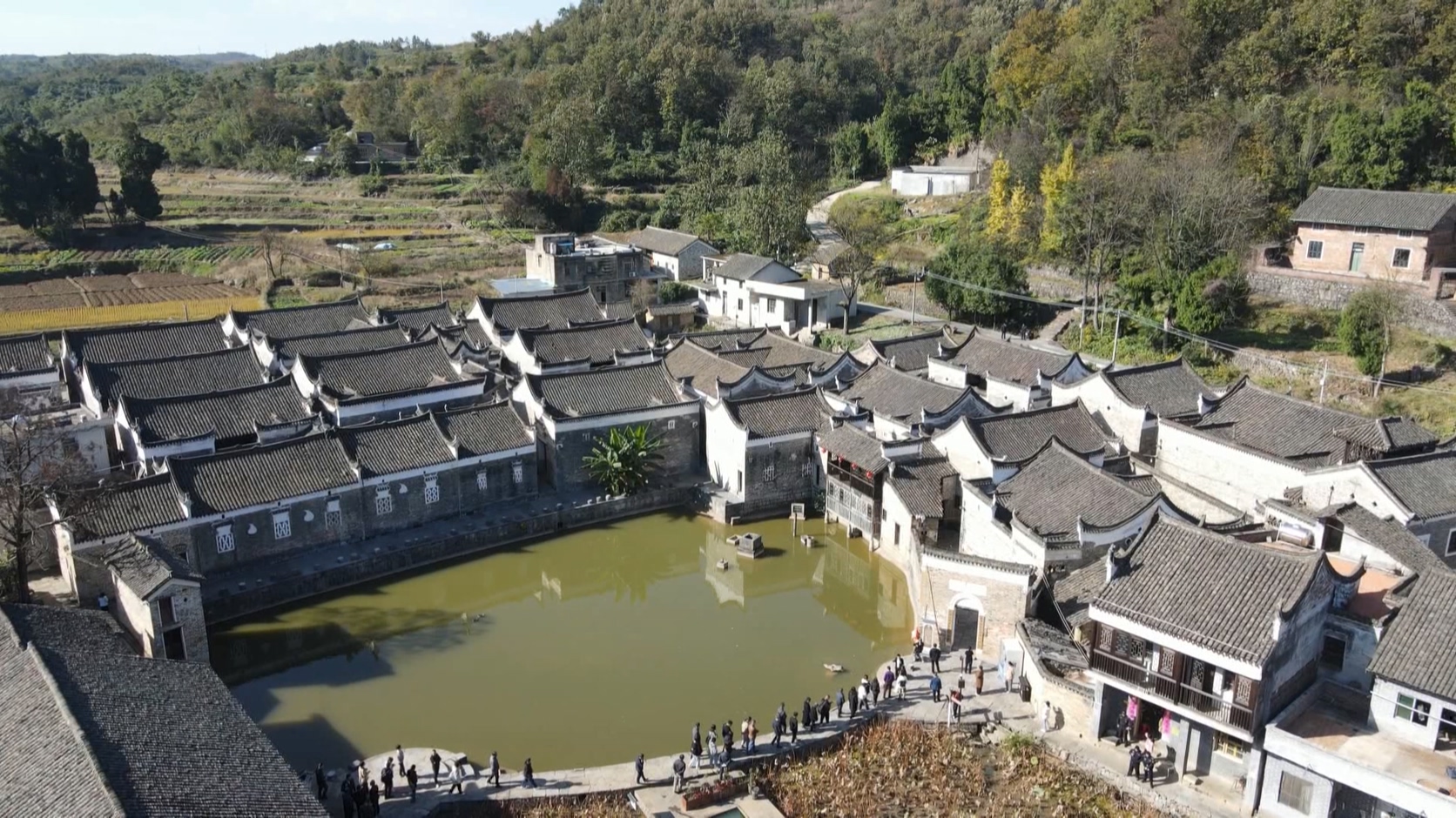 新田龙家大院：唱响“农旅”融合协奏曲 释放乡村振兴新动能.mpg_20241203_101926.128.jpg