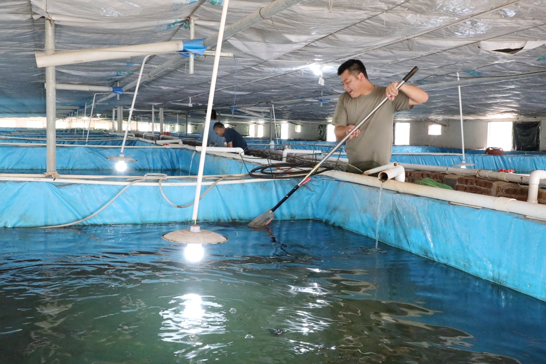 魚(yú)2 (1).JPG 魚(yú)2 (1).JPG