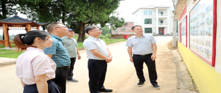 陈雄在调研乡村振兴工作时强调：扛牢政治责任 建设和美乡村 推动乡村全面振兴