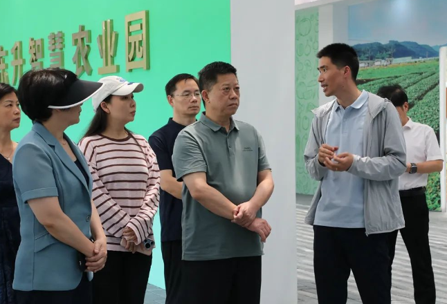 衡阳市政协来新调研考察蔬菜产业