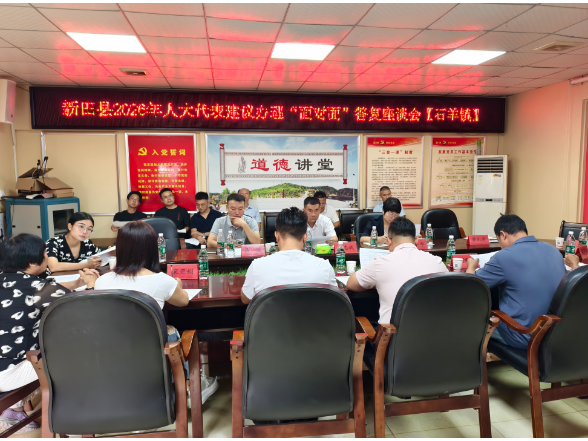 县领导深入石羊镇视察人大代表建议办理工作