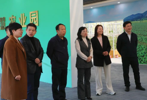 湖南省工商联领导来新调研乡村振兴工作