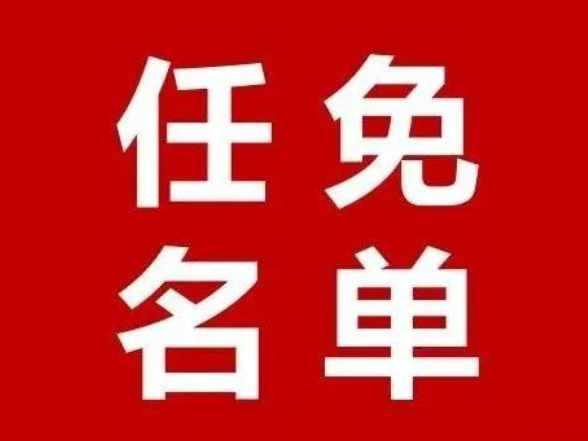 新田县人民代表大会常务委员会任命名单