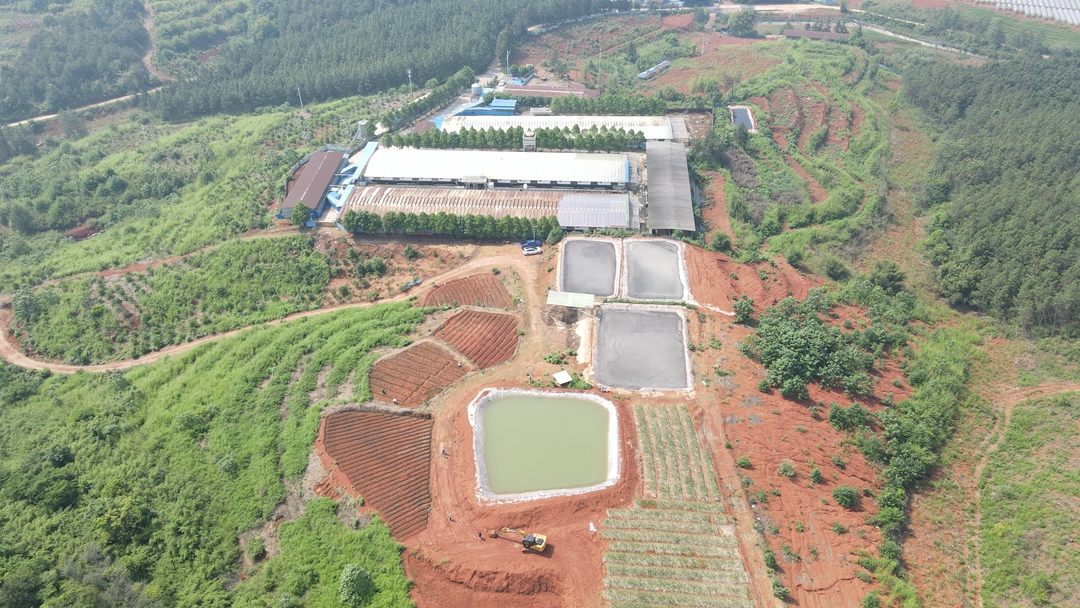 DJI_0778.JPG
