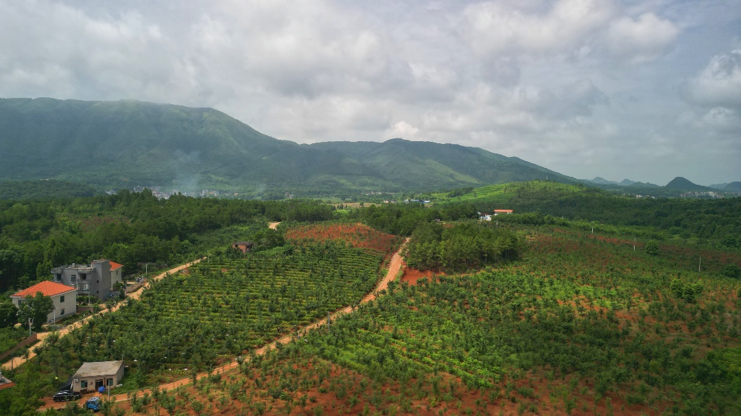DJI_0729.JPG