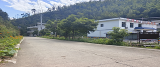 高岱源村：党建引领 繁花扮靓乡村道路