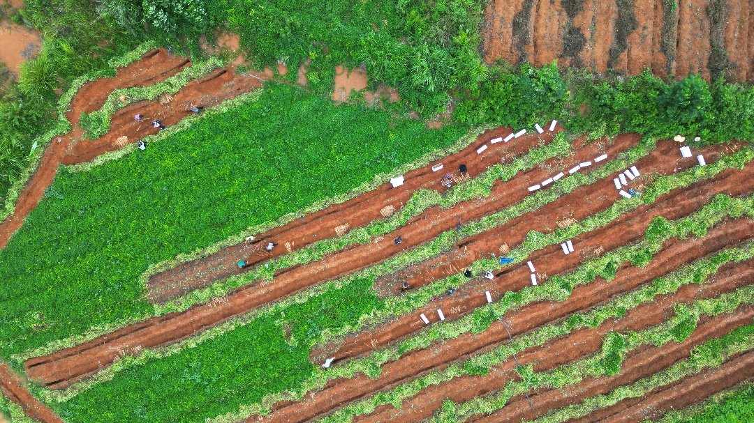DJI_0260.JPG