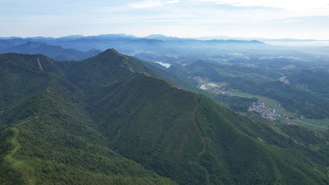 DJI_0159.JPG