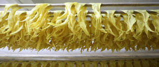 新田：黄豆变身“小金豆” 腐竹铺就乡村振兴致富路