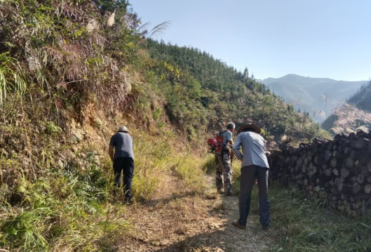 上里沅村：割灌除草办实事 安全出行暖民心