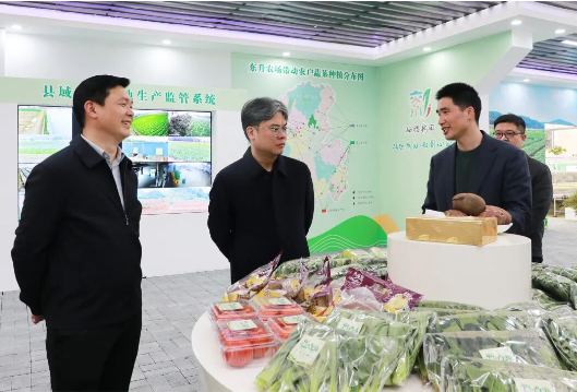 陈雄深入乡镇调研春耕生产、农业产业发展、城乡发展大提升等工作