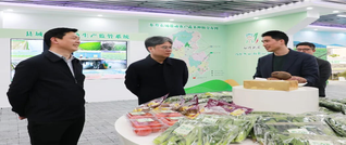 陈雄深入乡镇调研春耕生产、农业产业发展、城乡发展大提升等工作