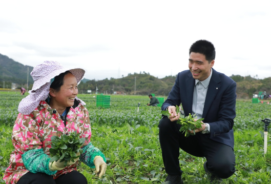 新田：人勤春来早 田间农事忙