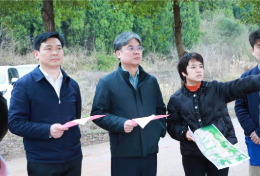 陈雄：全力抓好春耕生产等当前各项工作