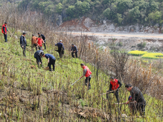 石羊镇：政企村携手植绿 共筑生态屏障