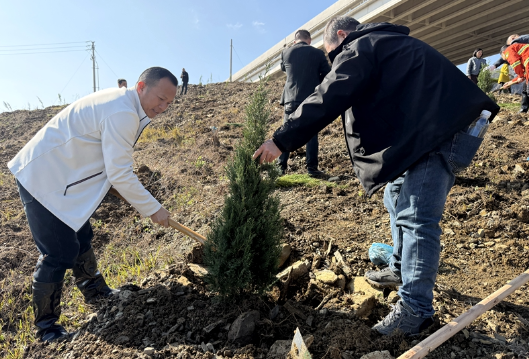龙泉街道：春日植绿护生态 实干担当促发展